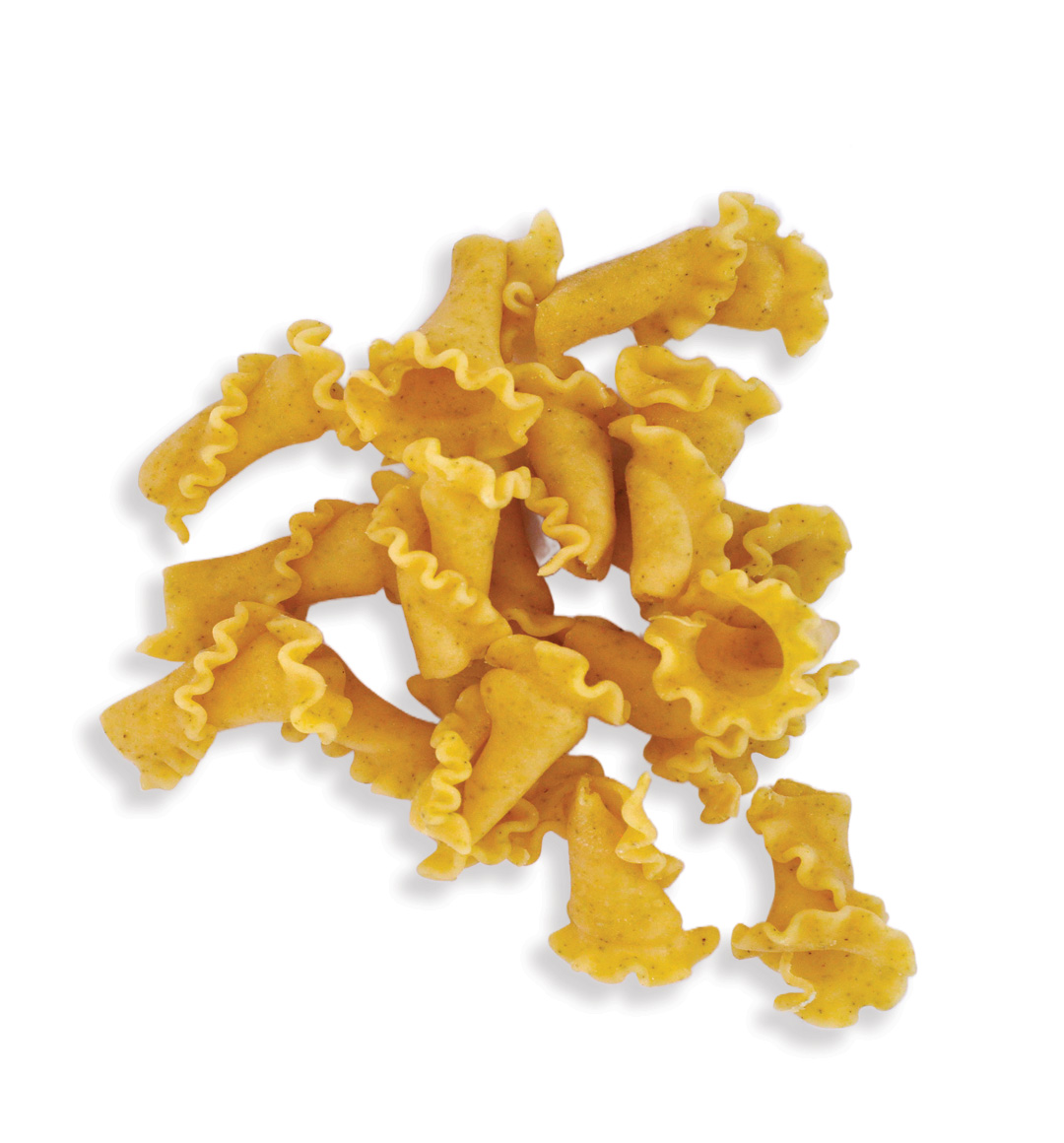 Campanelle paste proaspete